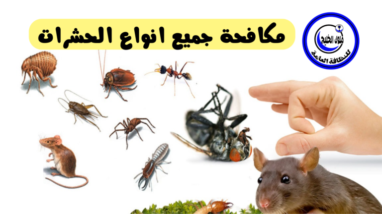 مكافحة حشرات بالرياض 0500686439 خصم 35% لكل العملاء الجدد
